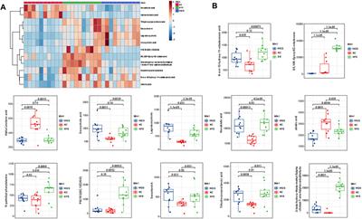 Wuwei Qingzhuo San Ameliorates Hyperlipidemia in Mice Fed With HFD by Regulating Metabolomics and Intestinal Flora Composition